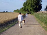 A Walk (i)